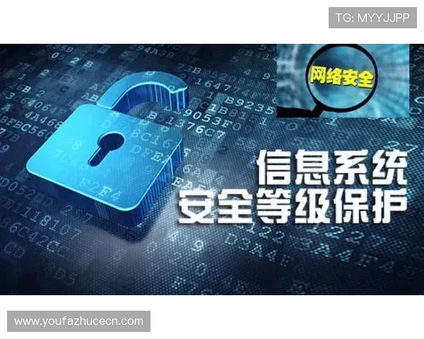 K8真人官方平台的安全支付系统与个人信息保护措施详解