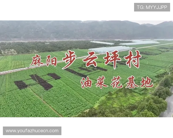 免费下载航拍视讯app,体验专业级航拍拍摄与编辑功能,打造属于你的高空视觉作品 免费下载航拍视讯app,体验专业级航拍拍摄与编辑功能,打造属于你的高空视觉作品