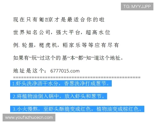 俄罗斯娱乐ag视讯如何保障玩家资金安全与隐私保护措施分析